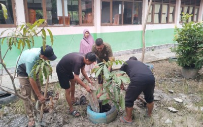 Gerakan Sejuta Pohon Matoa